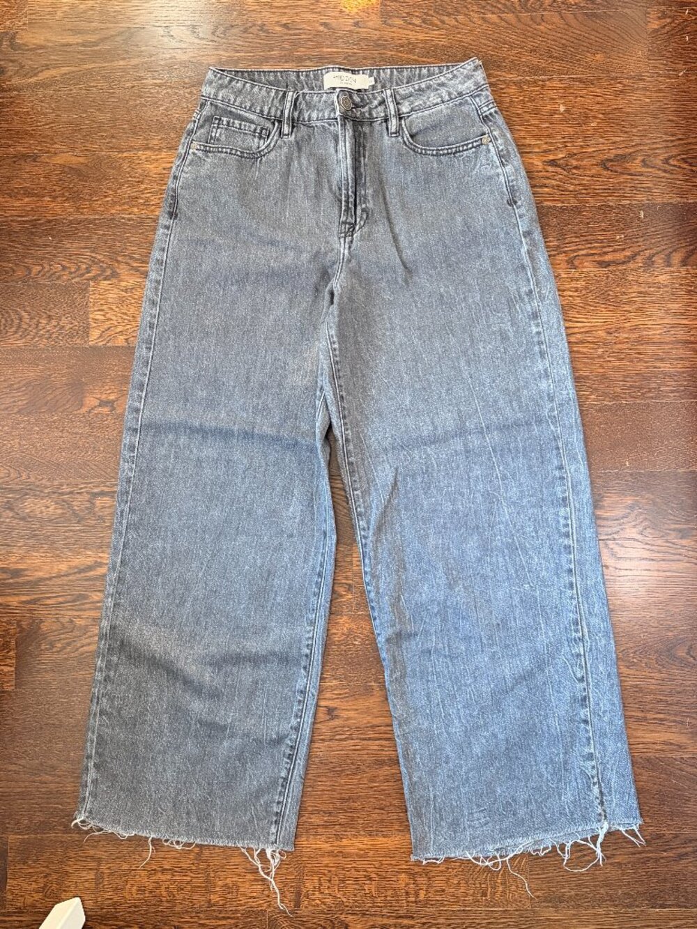 Hidden Los Angeles Nori Gray High Rise Wide Leg Raw Hem Denim Jeans-Sz.26